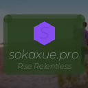 sokaxue.pro