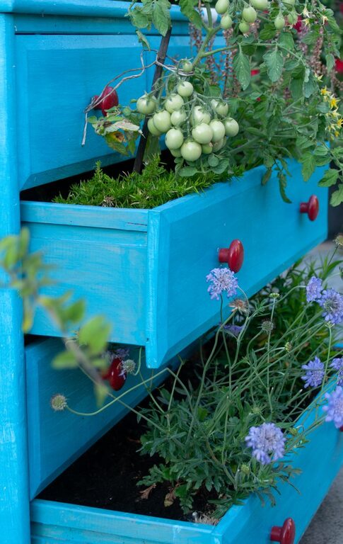 Easy Gardening Projects for Small Spaces and Patios